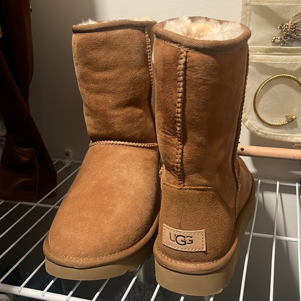 Brand new short UGGS